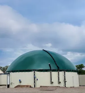 Biogas